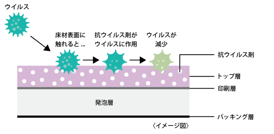 抗ウイルスイメージ