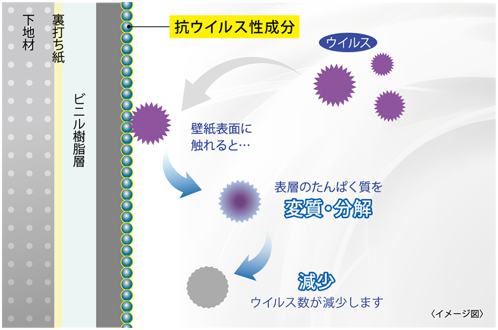 抗ウイルスイメージ図