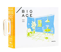 BIGACE