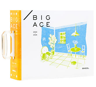 BIGACE