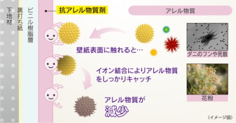 壁紙表面に付着したアレル物質が減少01