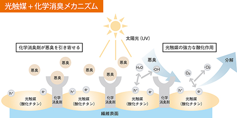 お部屋の空気をきれいにする