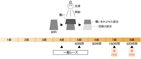 耐光堅牢度7級以上