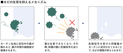 カビの増殖を抑えて清潔に