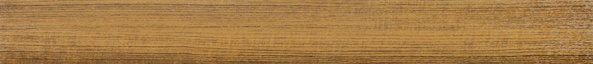 RW-2244