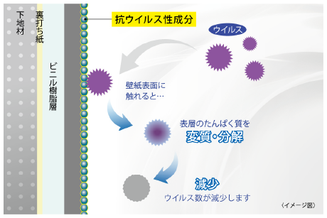 抗ウイルス/イメージ