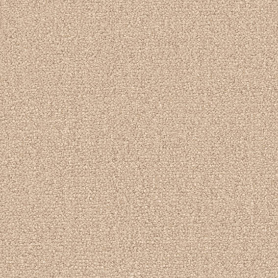 シンコール | CM8087 | スペイシー2021-2023