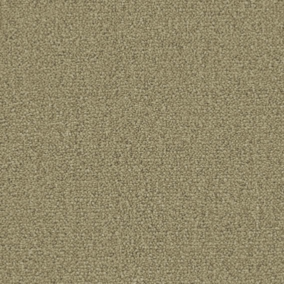 シンコール | CM8096 | スペイシー2021-2023