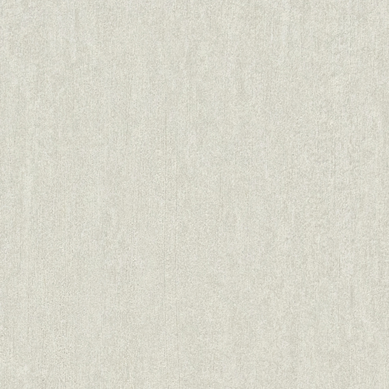 シンコール | BB8389 | 2023 BEST