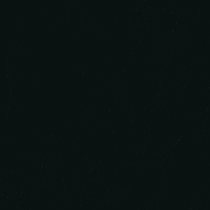 L0420