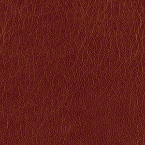 L8591