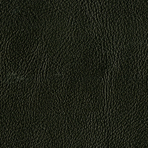 L8812