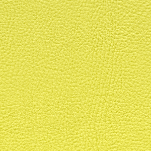 L6088