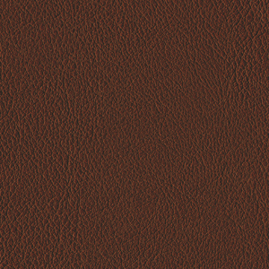 L6459