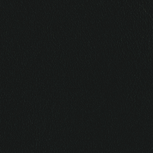 L6460