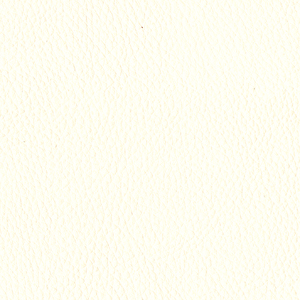 L6461