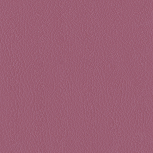 L6498
