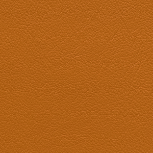 L6548