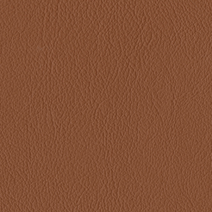 L6554
