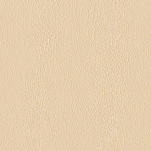 L6555