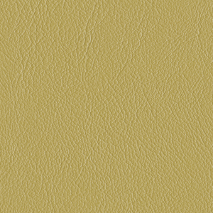 L6556