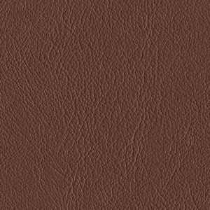 L6559