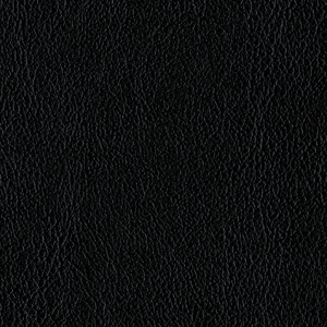 L6562