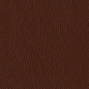 L6566