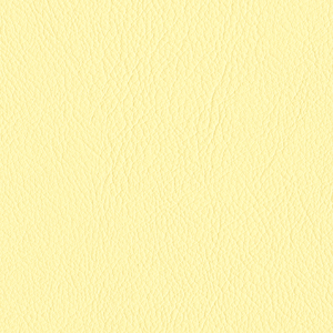 L6567