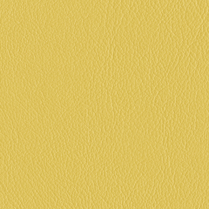 L6579