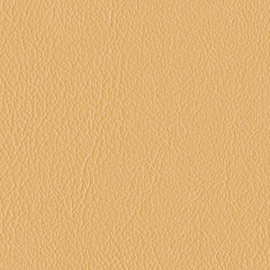 L6591