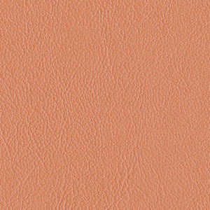 L6598