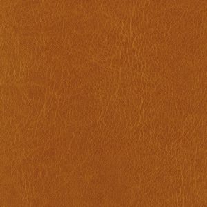 L6736
