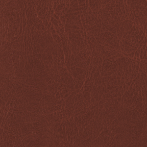 L6737