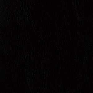 L6738