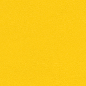 L6858